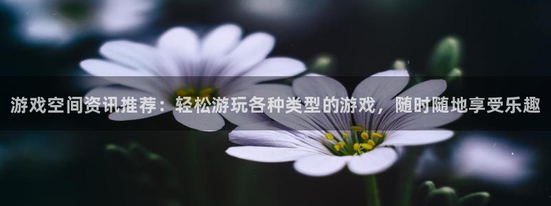 辉达娱乐什么意思：游戏空间资讯推荐：轻松游玩各种类型的游戏，
