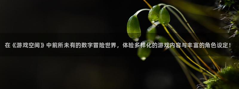 辉达娱乐4招商：在《游戏空间》中前所未有的数字冒险世界，体验