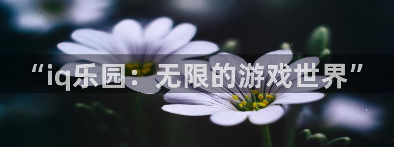 辉达娱乐登录网址：“iq乐园：无限的游戏世界”
