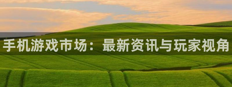 辉达娱乐4招商：手机游戏市场：最新资讯与玩家视角
