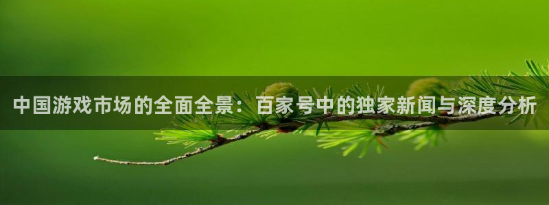 辉达娱乐注册测速：中国游戏市场的全面全景：百家号中的独家新闻