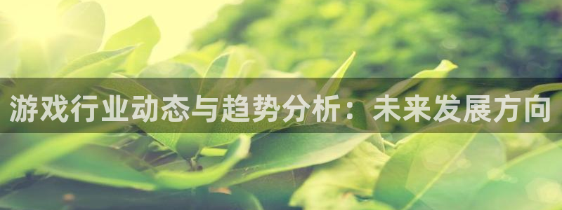 辉达娱乐注册：游戏行业动态与趋势分析：未来发展方向