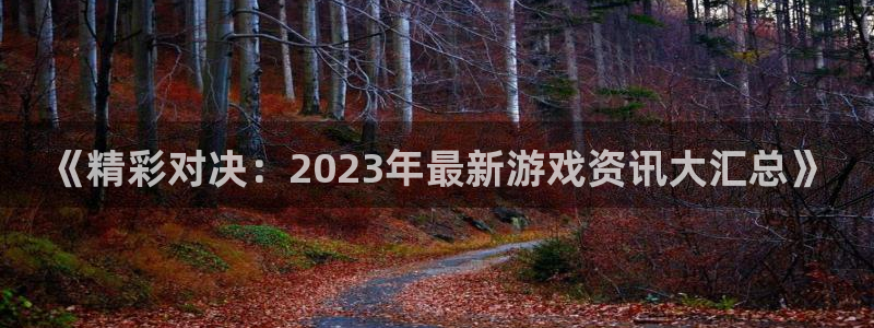 辉达娱乐官方登录网址：《精彩对决：2023年最新游戏资讯大汇