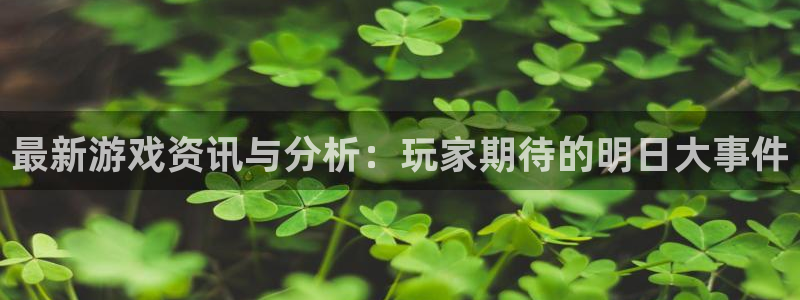 辉达娱乐平台注册资金多少：最新游戏资讯与分析：玩家期待的明日