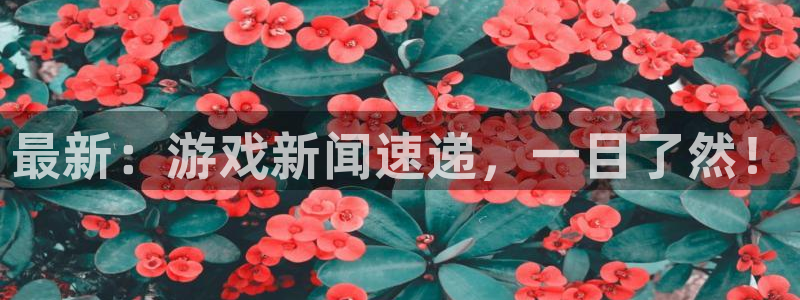 辉达娱乐官方登录网址：最新：游戏新闻速递，一目了然！