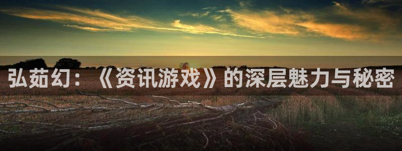 辉达娱乐平台官网注册：弘茹幻：《资讯游戏》的深层魅力与秘密