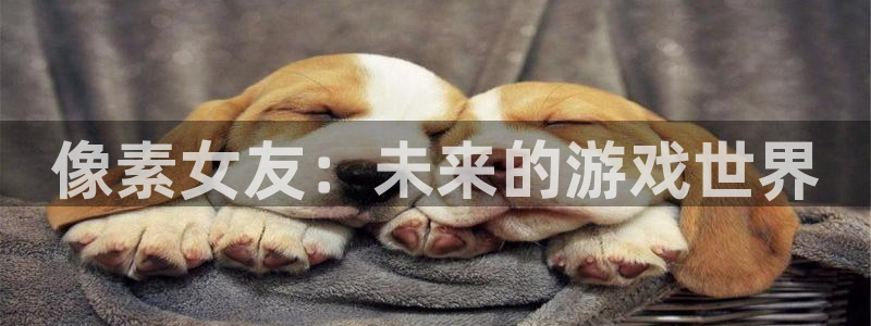 辉达娱乐平台官网客服电话：像素女友：未来的游戏世界