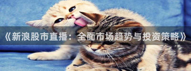857直播体育在线直播