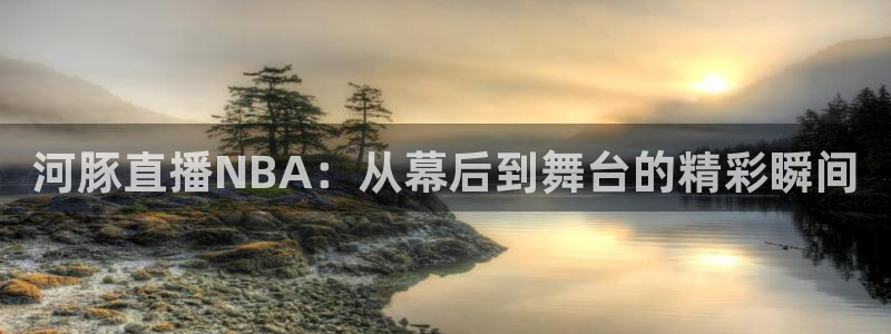 857体育直播间官网