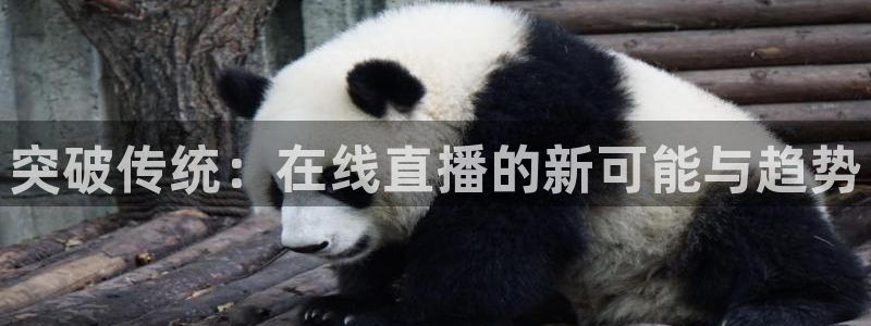 857直播足球比赛