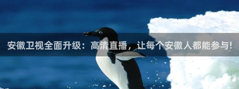857免费直播nba