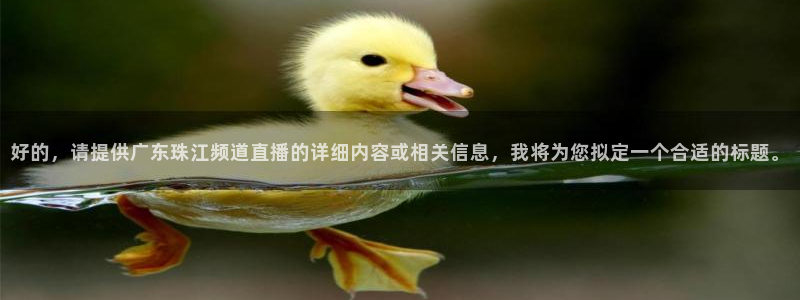 nba857在线直播：好的，请提供广东珠江频道直播的详细内容或相关信息，我将为您拟定一个合适的标题。