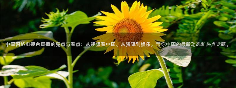 857体育直播在线观看：中国网络电视台直播的亮点与看点：从视频看中国、从资讯到娱乐，带你中国的最新动态和热点话题。
