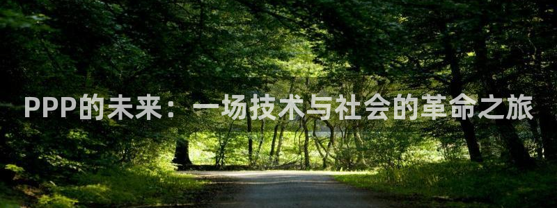 857足球体育直播：PPP的未来：一场技术与社会的革命之旅